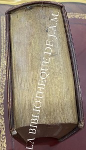 Sacrorum Bibliorum Vulgatae Editionis Concordantiae