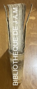 Rerum patriae libri IIII — Ex M.S. Bibliothecae Ambrosianae