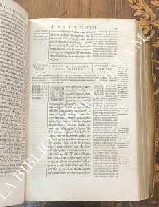 Institutiones Theophilo Antecessore & Promptuarium Iuris Harmeniopolli — édition composite Gothofredus