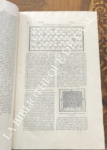 Dictionnaire œconomique